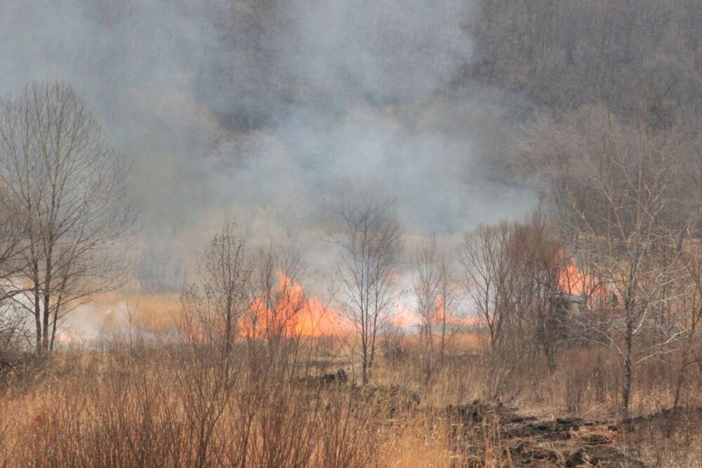 Хабаровскому краю выделят 560 млн рублей на тушение пожаров