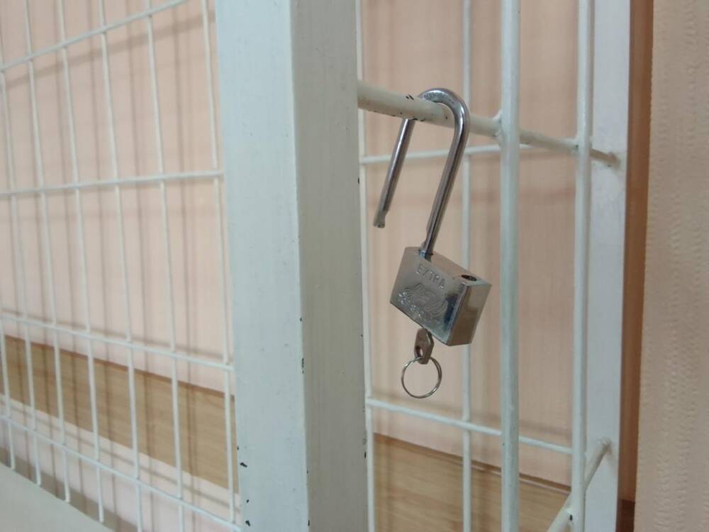 Жителя Новосибирской области арестовали на 10 суток за долг по алиментам