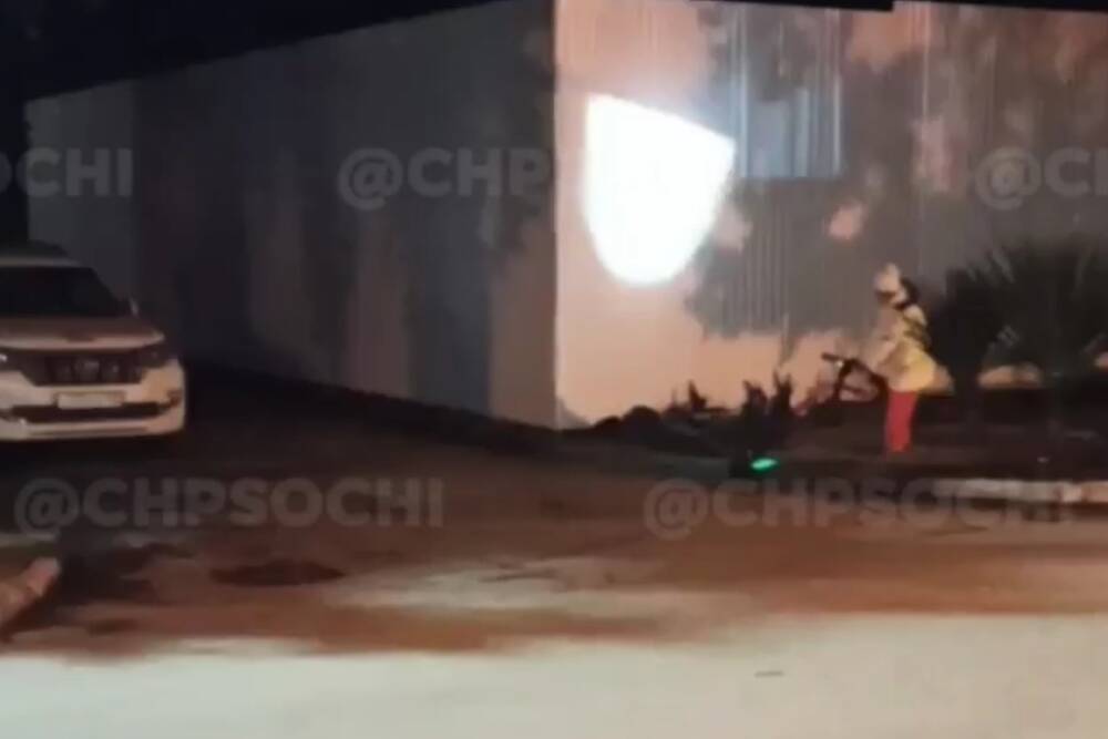 Хрюкают и хрякают: жительница Сочи отомстила электросамокатам, раскидав их по улице