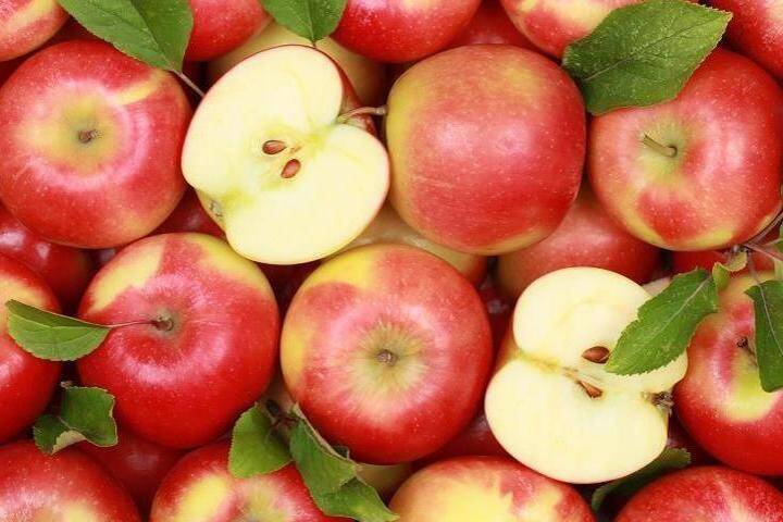 В Твери нашли подкарантинные яблоки, помидоры и хурму