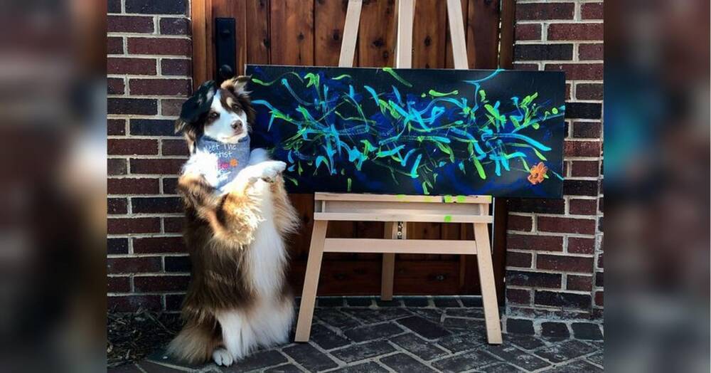 Собака-художник заробив понад 20 тисяч доларів на продажі картин онлайн (відео)
