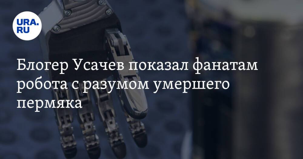 Блогер Усачев показал фанатам робота с разумом умершего пермяка