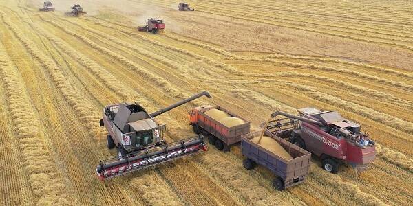 Урожай в РФ может снизиться из-за недоступности кредитов