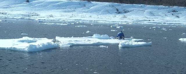 40 сахалинских рыбаков уплывают в море на оторвавшейся льдине