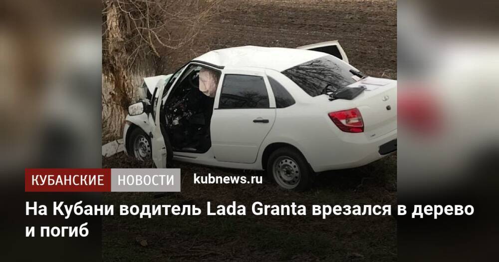 На Кубани водитель Lada Granta врезался в дерево и погиб