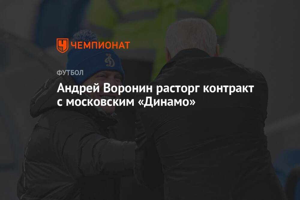 Украинец Андрей Воронин расторг контракт с московским «Динамо»