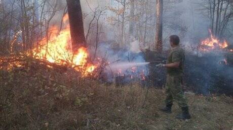 В Пензенской области готовятся к сезону лесных пожаров