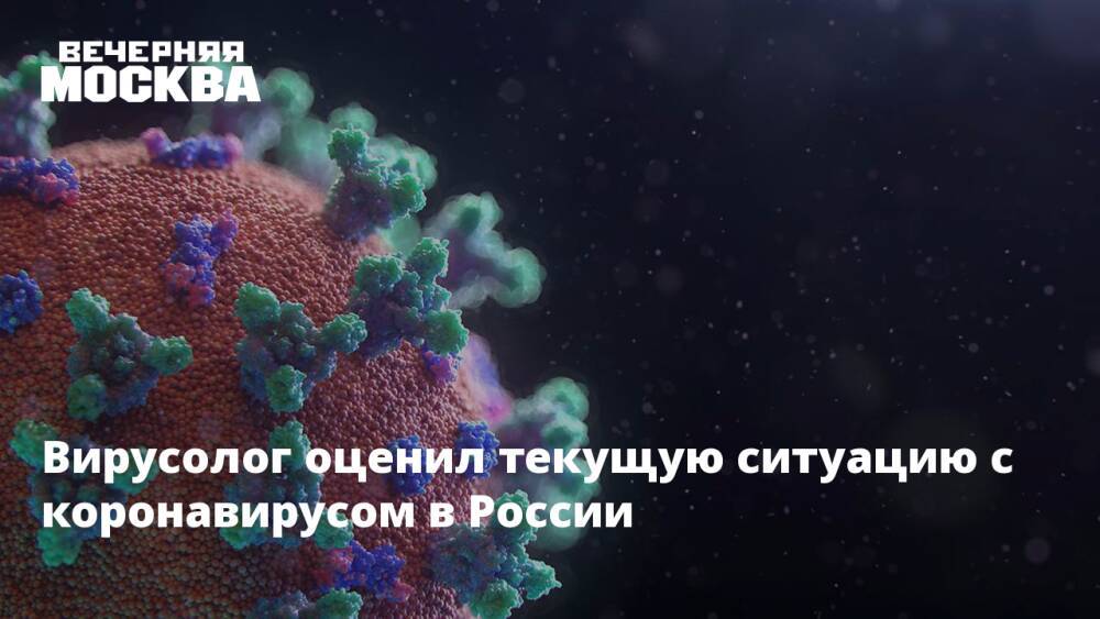 Вирусолог оценил текущую ситуацию с коронавирусом в России
