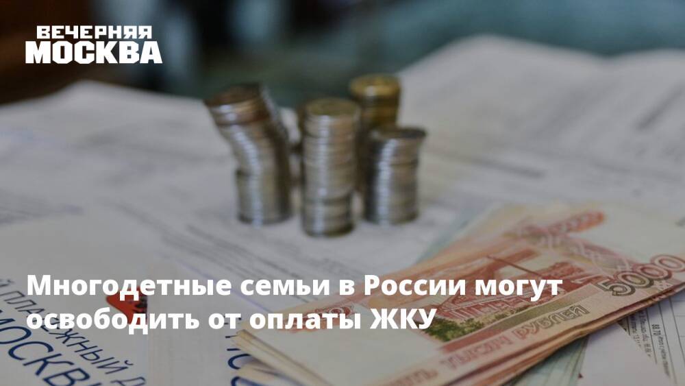 Многодетные семьи в России могут освободить от оплаты ЖКУ