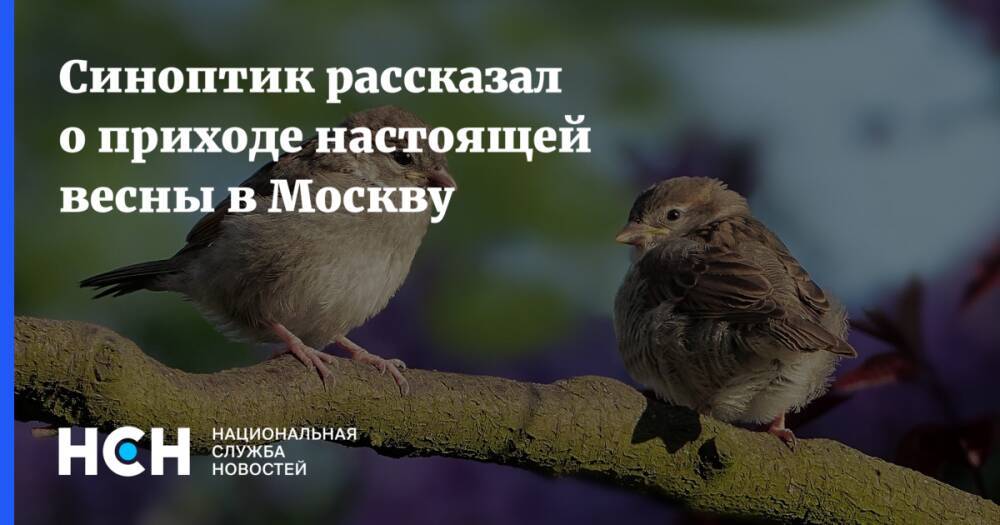 Синоптик рассказал о приходе настоящей весны в Москву