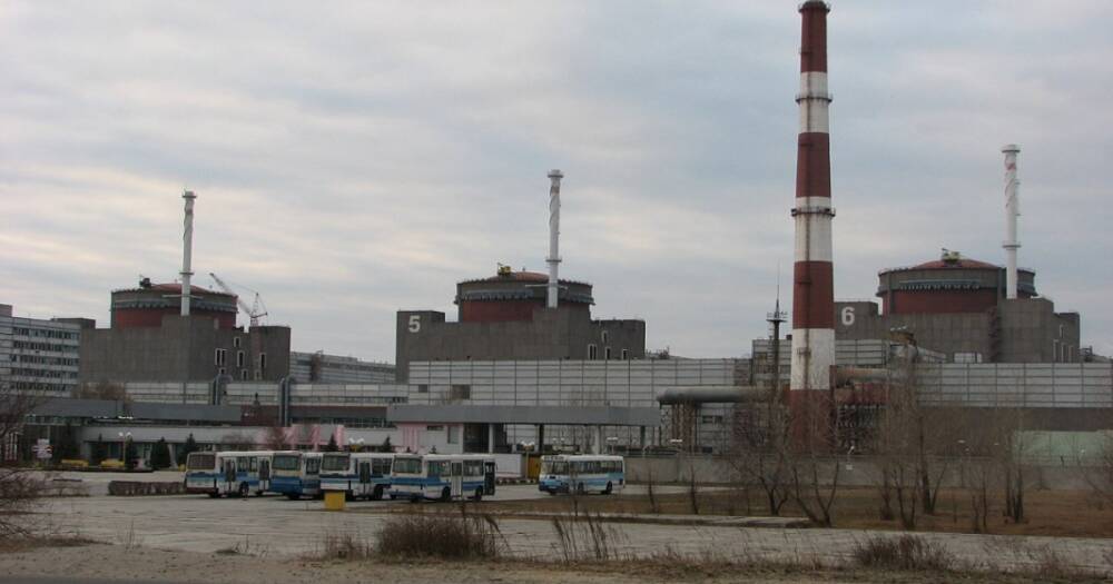 Военные ВС РФ заминировали побережье возле Запорожской АЭС, — Энергоатом
