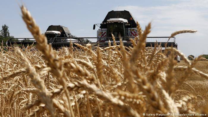 Война ведет к глобальному дефициту пшеницы и резкому росту цен на хлеб
