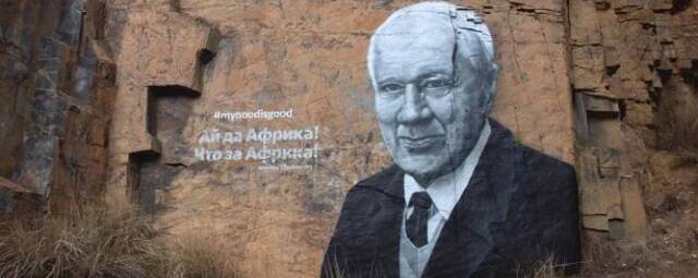 Петербургские художники оставили портрет Корнея Чуковского на скале в ЮАР