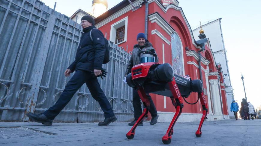 Робособаки будут выявлять самострои в центре Москвы