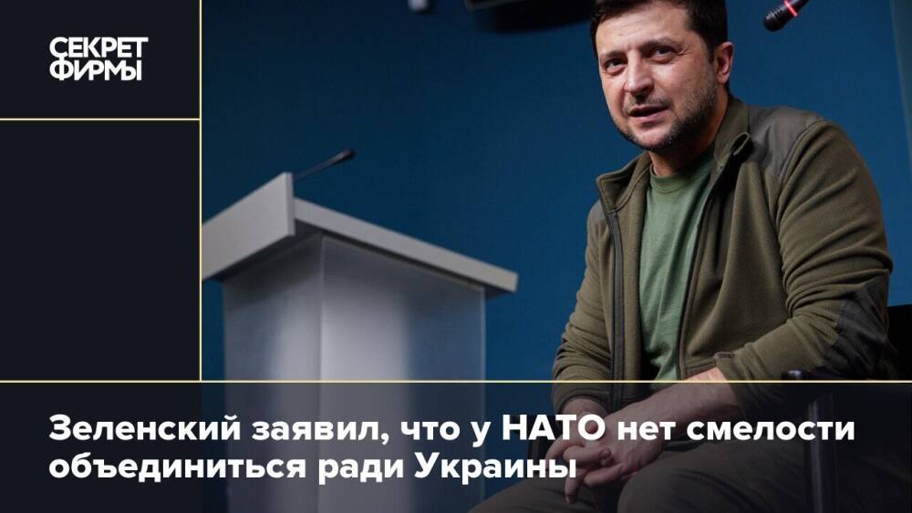 Зеленский заявил, что у НАТО нет смелости объединиться ради Украины