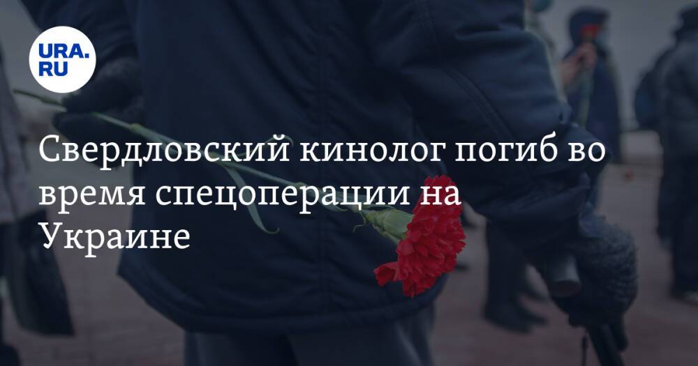 Свердловский кинолог погиб во время спецоперации на Украине. Фото