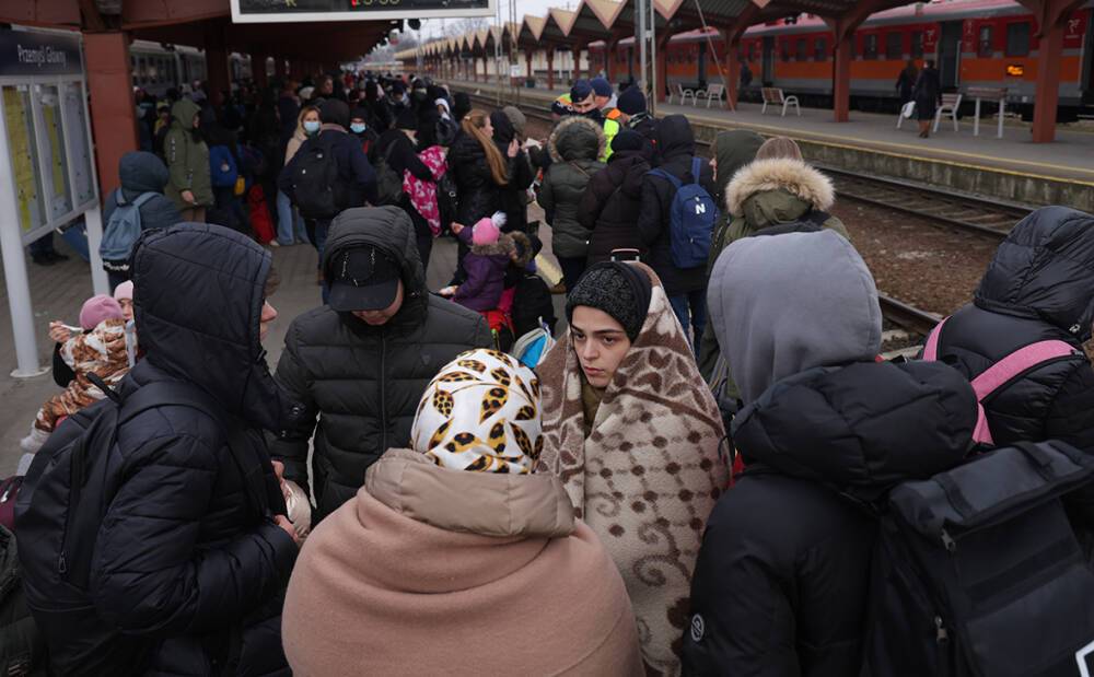 Краснодарский край и Крым примут 10 тысяч беженцев из Украины, ДНР И ЛНР