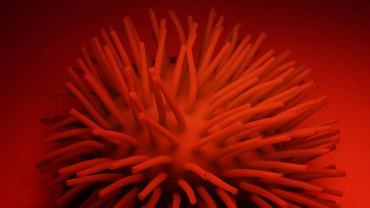 «Отличное ускользание»: иммунолог Болибок объяснил, куда ушел коронавирус