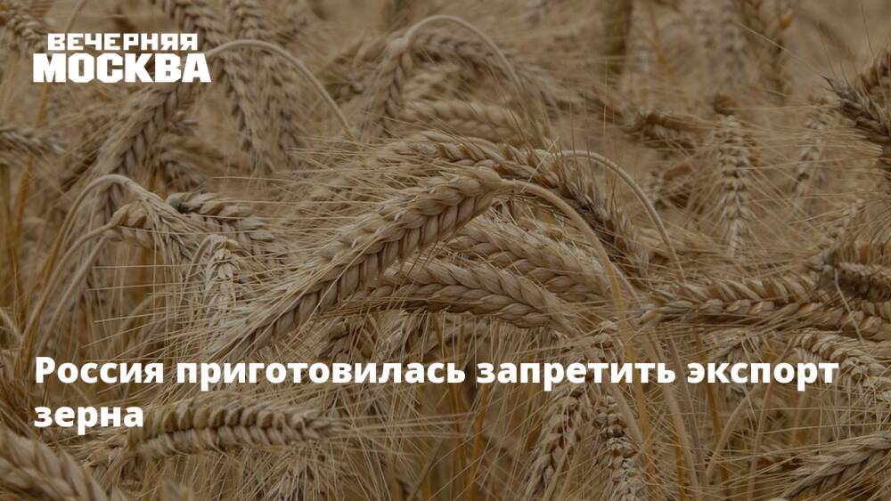 Россия приготовилась запретить экспорт зерна