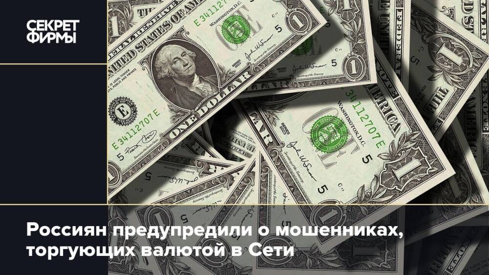 Россиян предупредили о мошенниках, торгующих валютой в Сети