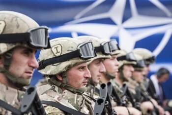 Представитель Польши требует ввести войска НАТО на Украину