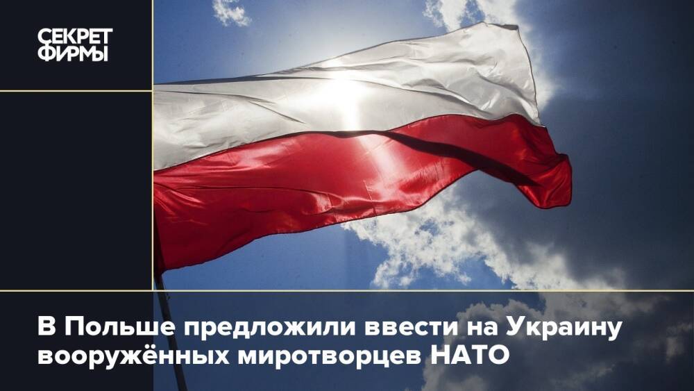 В Польше предложили ввести на Украину вооружённых миротворцев НАТО