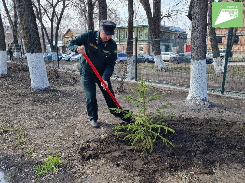 В Ульяновской области высадят «Сад памяти»