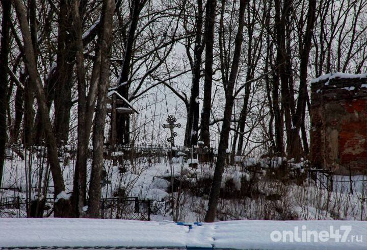 На кладбище под Петербургом найдено тело с лицом без черепа