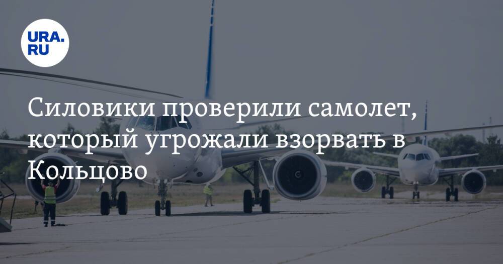 Силовики проверили самолет, который угрожали взорвать в Кольцово