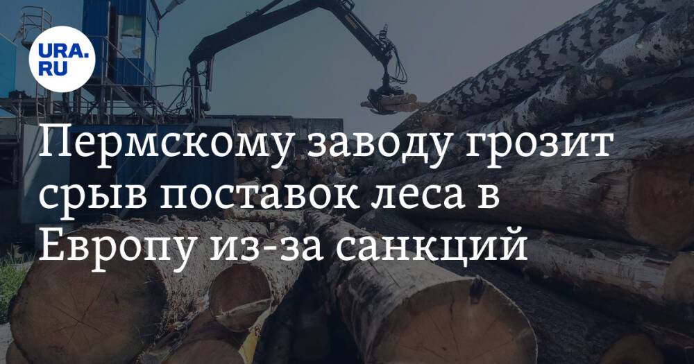 Пермскому заводу грозит срыв поставок леса в Европу из-за санкций