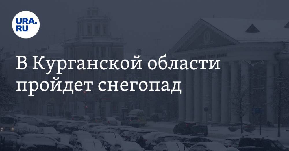 В Курганской области пройдет снегопад