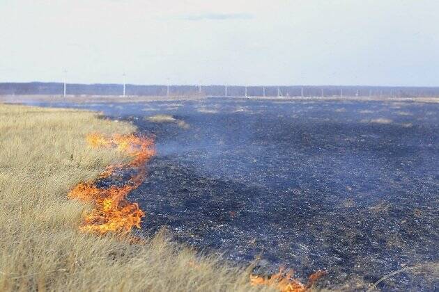 Угрожавший объектам уранодобывающего предприятия пожар за три дня потушили в Забайкалье