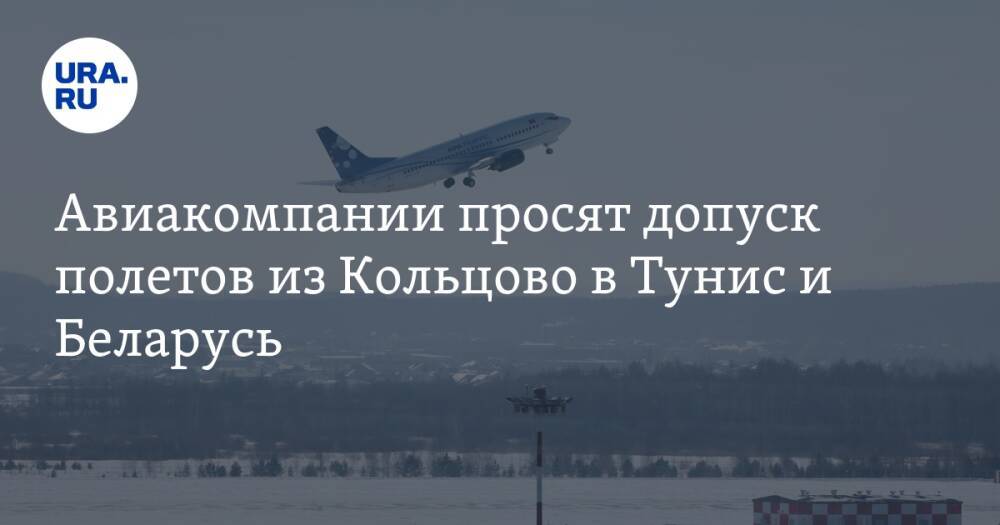 Авиакомпании просят допуск полетов из Кольцово в Тунис и Беларусь