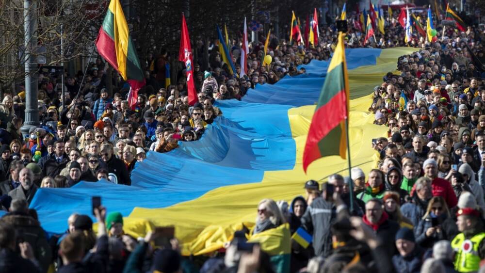 Сейм Литвы призвал ООН объявить над Украиной бесполётную зону