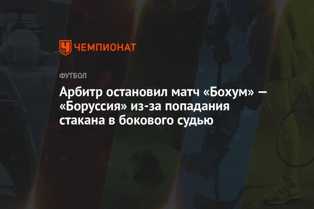 Арбитр остановил матч «Бохум» — «Боруссия» из-за попадания стакана в бокового судью