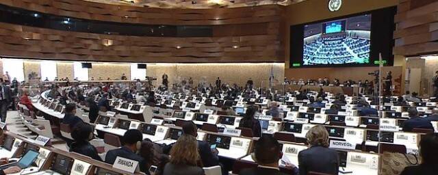 Дипломаты нескольких стран покинули заседание в ООН во время выступления Лаврова