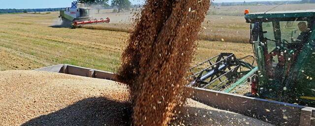 Зерновой союз попросил Владимира Путина отменить пошлины на экспорт зерна и масличных культур