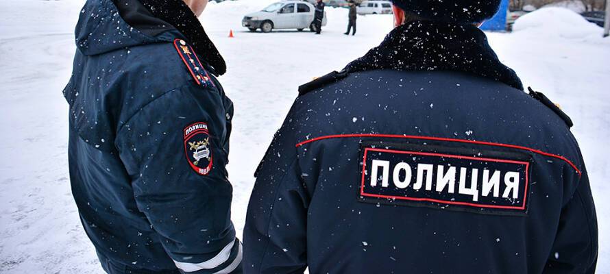 МВД Карелии: От сотрудников ППС злоумышленникам не убежать