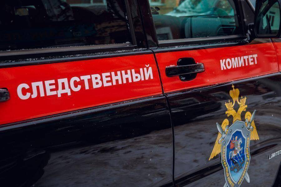 Глава Следкома взял на контроль дело об убийстве матери в Новосибирске