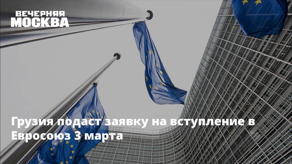 Грузия подаст заявку на вступление в Евросоюз 3 марта