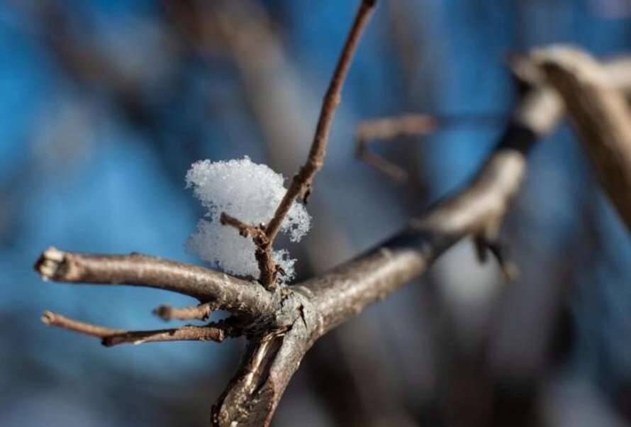 О нестабильной погоде в марте предупредили синоптики – сколько еще придется померзнуть