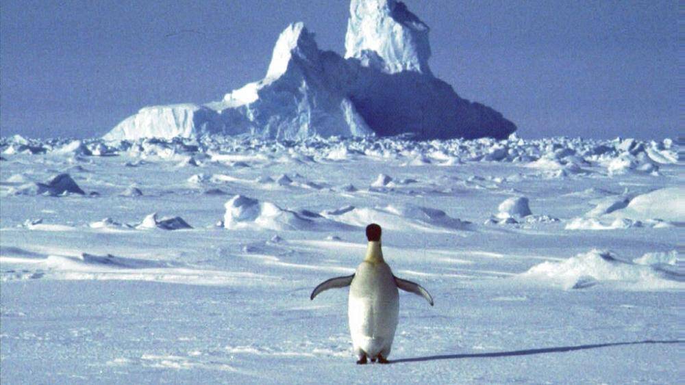 Температура на антарктической станции на 40 градусов превысила норму