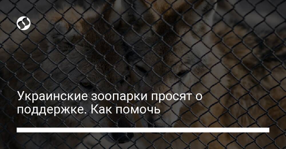 Украинские зоопарки просят о поддержке. Как помочь