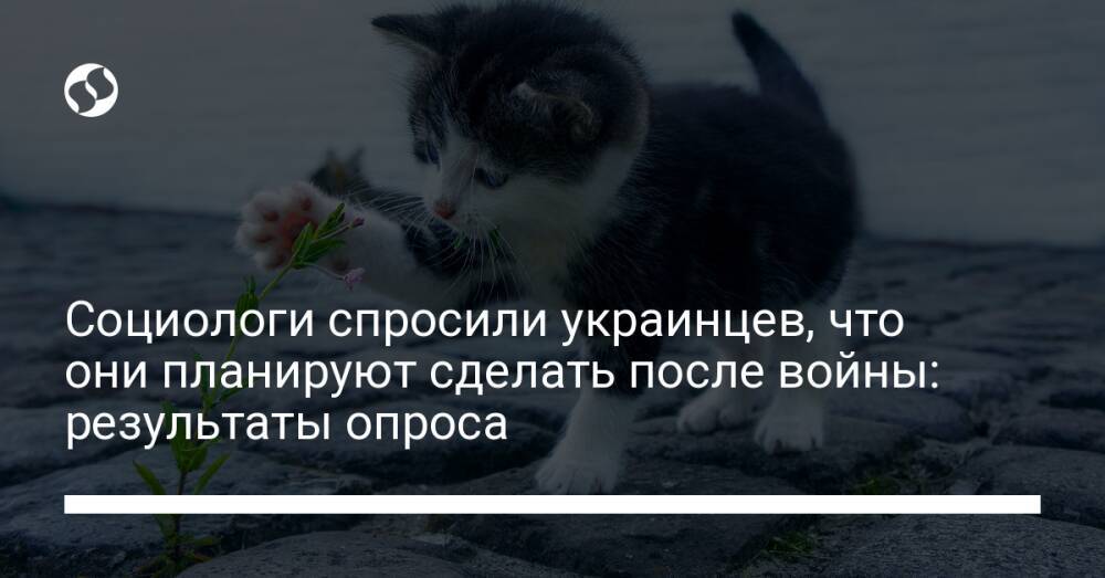 Социологи спросили украинцев, что они планируют сделать после войны: результаты опроса