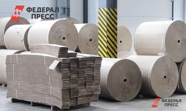 Сколько продлится «бумажный кризис» в России: «Привыкнем к серому»