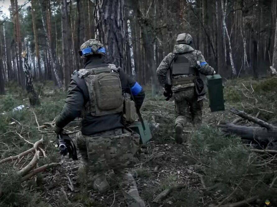 В Ровенской области запретили ходить в лес до конца войны против РФ