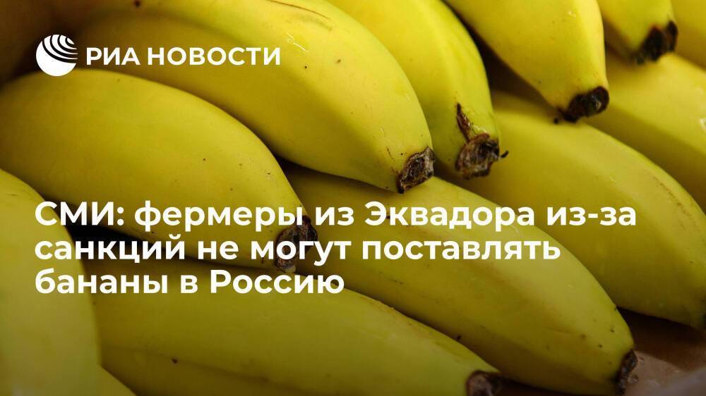 WSJ: фермеры из Эквадора из-за санкций не могут поставлять бананы в Россию