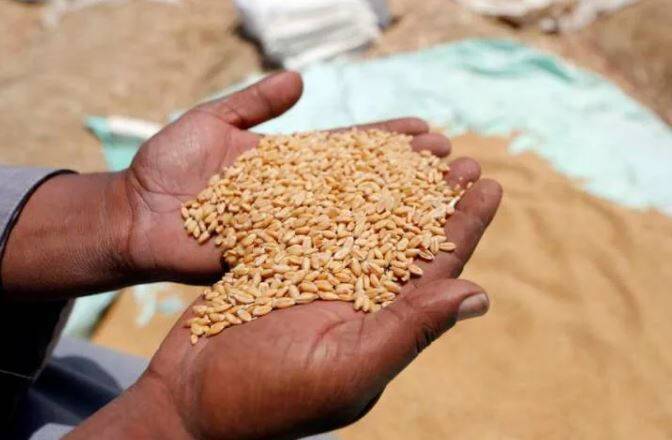 Ряду стран предрекли «катастрофу продовольствия»