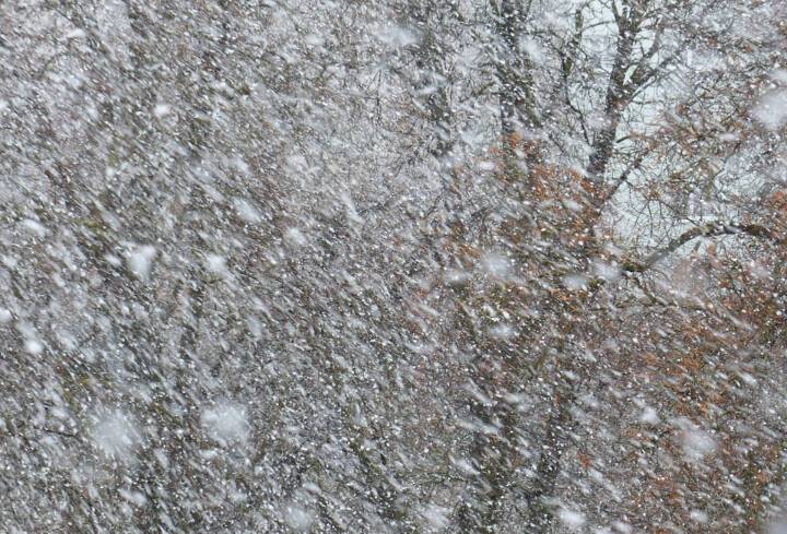 Днем четверга в Ленобласти ожидается снег