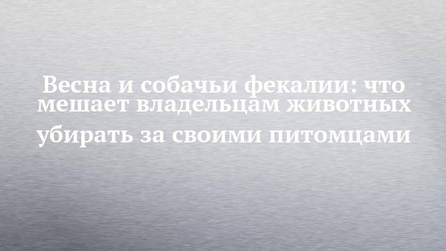 Весна и собачьи фекалии: что мешает владельцам животных убирать за своими питомцами